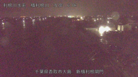 yoko2026030404_image