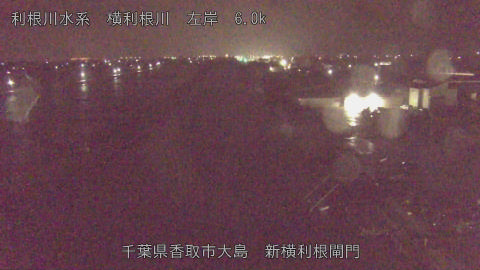 yoko2026030405_image