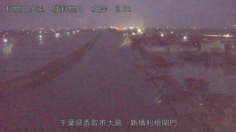 yoko2026030406_image