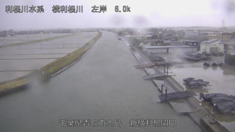 yoko2026030407_image