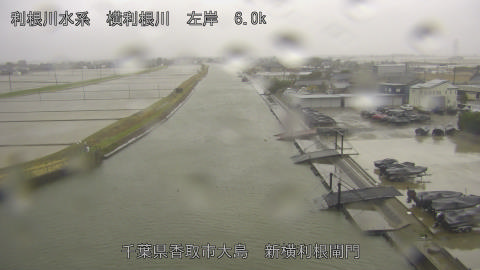 yoko2026030408_image