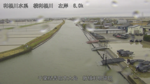 yoko2026030409_image