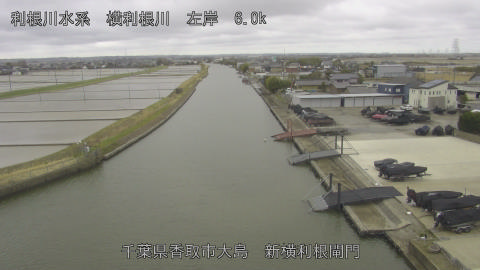 yoko2026030412_image