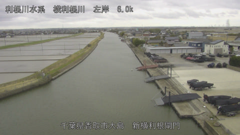 yoko2026030413_image