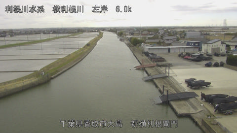 yoko2026030414_image