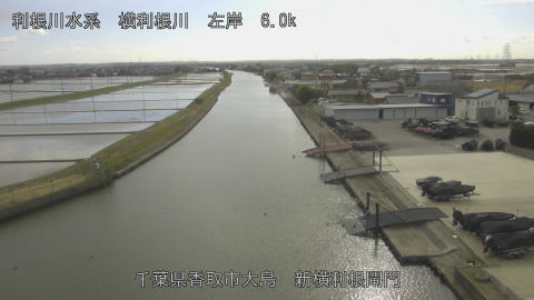 yoko2026030415_image