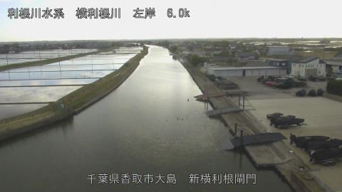 yoko2026030416_image