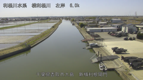 yoko2026030512_image