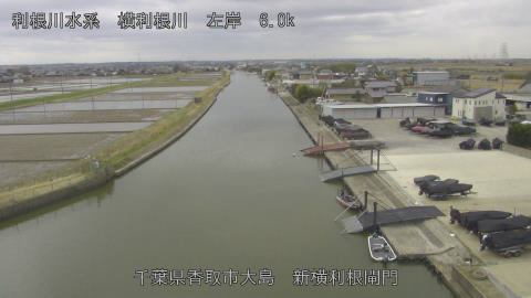 yoko2026030612_image