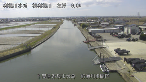 yoko2026030712_image