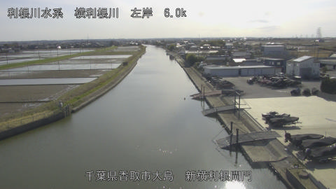 yoko2026030715_image