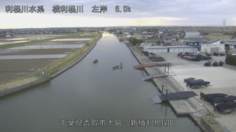 yoko2026030717_image