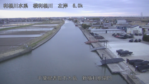 yoko2026030718_image