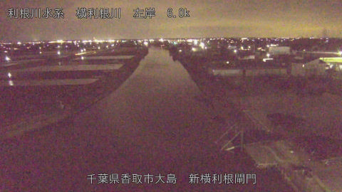 yoko2026030719_image