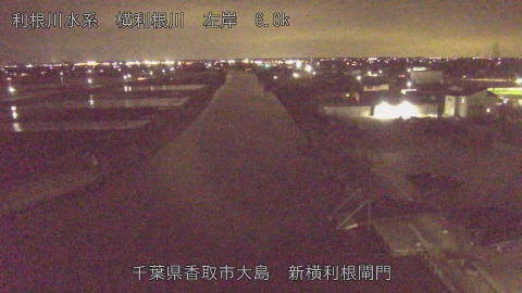 yoko2026030720_image