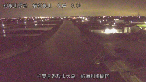 yoko2026030721_image