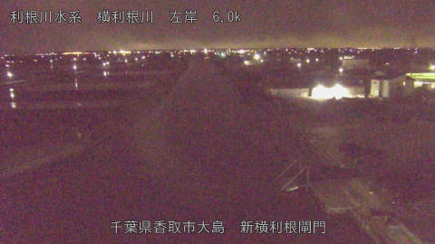 yoko2026030800_image