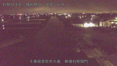 yoko2026030801_image