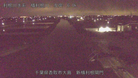 yoko2026030804_image