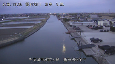 yoko2026030806_image