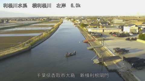 yoko2026030807_image