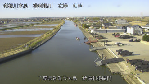 yoko2026030808_image