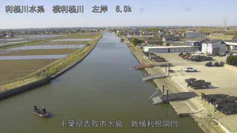 yoko2026030809_image