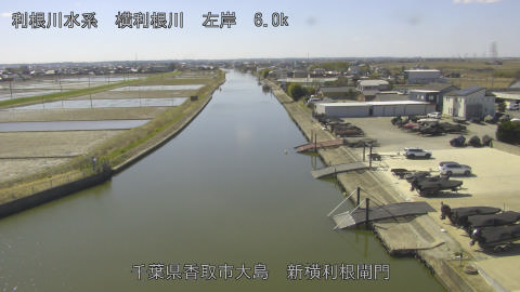 yoko2026030812_image