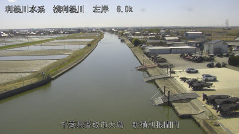 yoko2026030813_image