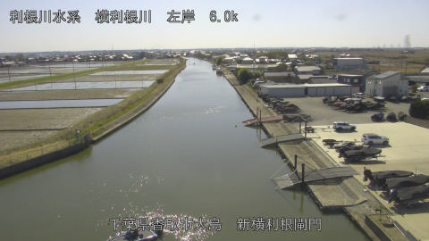 yoko2026030814_image