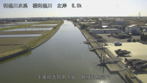 yoko2026030815_image