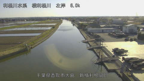 yoko2026030816_image