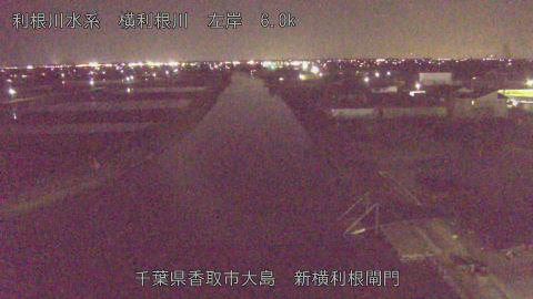 yoko2026030819_image