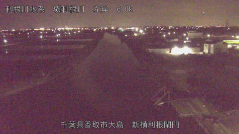 yoko2026030820_image