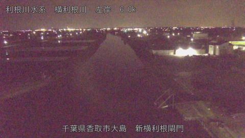 yoko2026030821_image