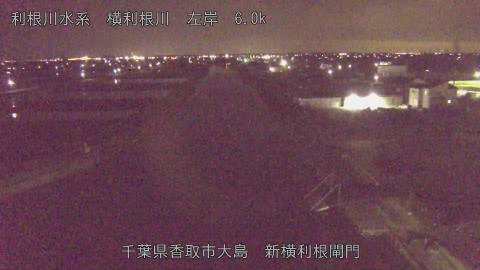 yoko2026030823_image