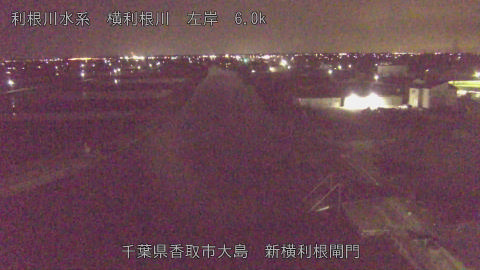 yoko2026030900_image