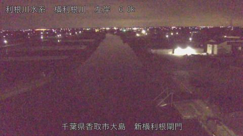 yoko2026030903_image