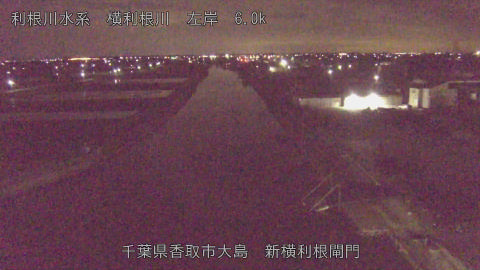 yoko2026030904_image