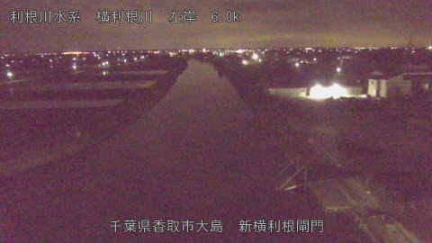 yoko2026030905_image