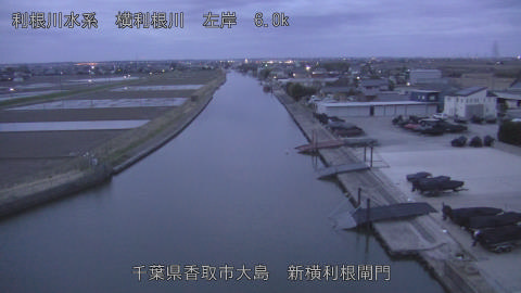 yoko2026030906_image