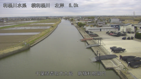 yoko2026030907_image