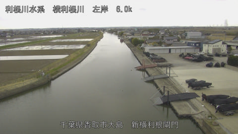 yoko2026030908_image