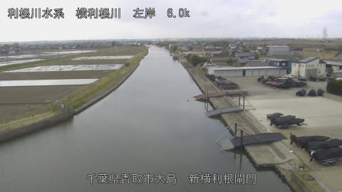 yoko2026030910_image