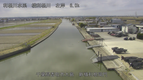 yoko2026030911_image