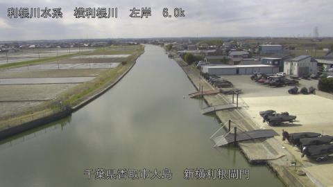 yoko2026030912_image