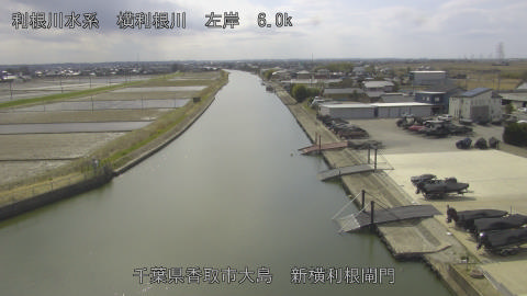 yoko2026030913_image