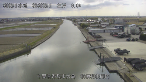 yoko2026030914_image