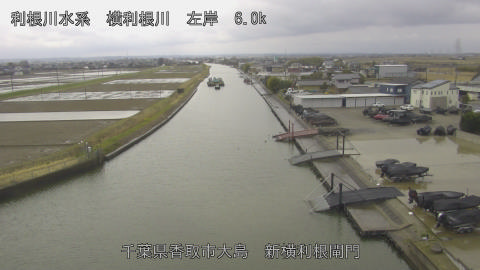 yoko2026031012_image