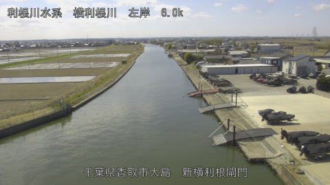 yoko2026031112_image